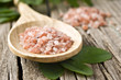 Course pink Himalayan salt on a wooden spoon