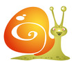 cartoon snail
