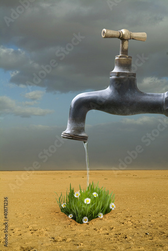 Photo: agriculture agriculture