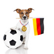 dog as soccer with medal and  flag