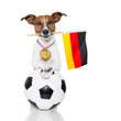 dog as soccer with medal and  flag