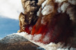 Eruzione Etna Eruzione Etna