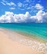 beach and a sea