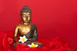 Buddhafigur, Buddha figure