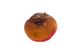 red rotten apples