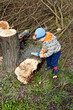 Woodcutter cutting broken tree