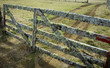 New Zealand farm gate