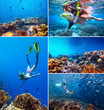 Collage underwater