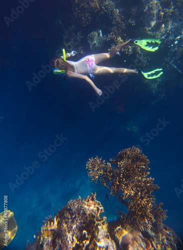 Photo: Reef Reef