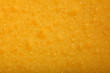 Sponge structure texture background