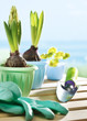 Flowers in flowerpots and garden shovel Flowers in flowerpots and garden shovel