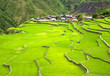 Rice terrace