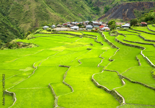 Foto: Rice terrace Rice terrace