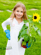 Gardening, lovely gardener with sunflower Gardening, lovely gardener with sunflower