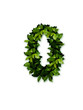 green numeric 0 zero