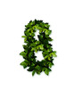 green numeric 8 eight