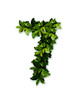 green numeric 7 seven