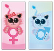Fluffy Gender