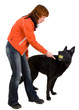 woman is dog training