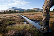 Foto: Wanderweg im herbstlichen Fjäll Wanderweg im herbstlichen Fjäll