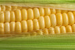 Corn with green leaf
