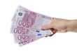 Geldscheine in der Hand