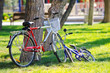 Bike bicycle in the park Bike bicycle in the park