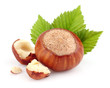 Hazelnut with kernel