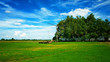 Landscape of Hungary with a farmhouse