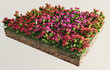 Fiori rossi, porpora, arancioni terreno sezione erba