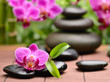 spa concept