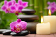spa concept spa concept