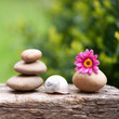 Foto: Steinstapel, Blume Steinstapel, Blume