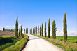 Tuscany, Cypress Trees white road landscape, Italy, Europe.