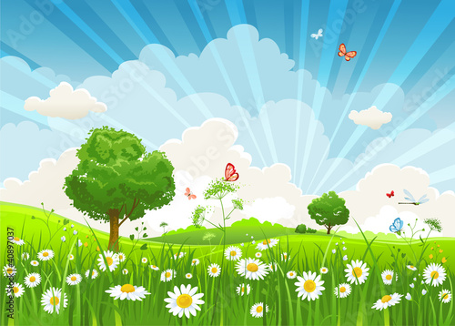 Vector: Summer vector landscape Summer vector landscape
