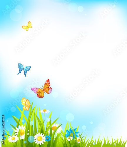 Vector: Summer vector background Summer vector background