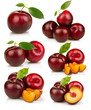 Set of ripe red plums fruit isolated on white