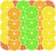 citrus fruits vector pattern background