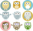 Vector illustration of colorful owls with nine color