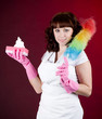 Foto: Young happy housewife cleaning dishes Young happy housewife cleaning dishes