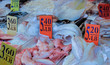 Fish for sale