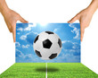 Football soccer stadium