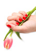 mano di donna con smalto rosso mano di donna con smalto rosso
