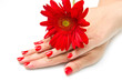 mani di donna con smalto rosso mani di donna con smalto rosso