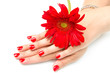 mani di donna con smalto rosso mani di donna con smalto rosso