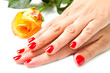 mani di donna con smalto rosso mani di donna con smalto rosso