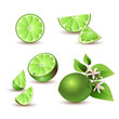 Fresh lime with flowers, leaves and lime slices