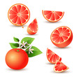 Fresh grapefruit with flowers, leaves and grapefruit slice