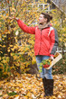 Autumn Park