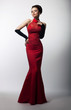 Portrait of a beautiful sensual woman in medieval red dress